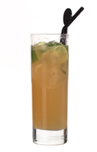 Anejo Highball  recipe