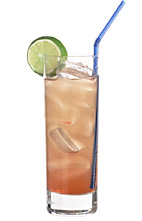 Melon Fever  recipe