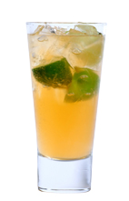 Mango Tango  recipe