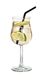 Spritzer  recipe